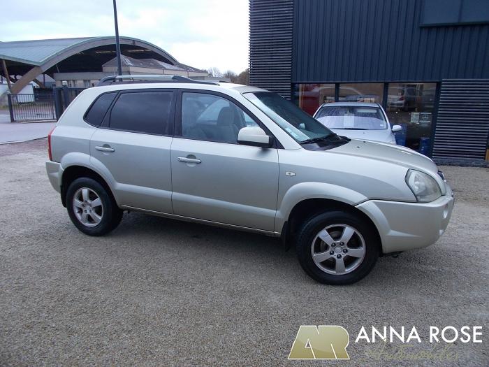 Hyundai Tucson 2.0 CRDI 112 CH - Anna Rose Automobiles